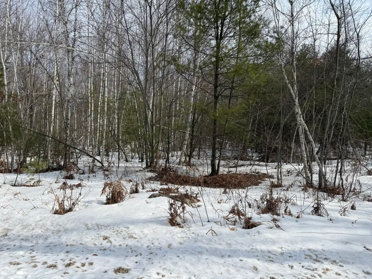 M10-L23B Town Farm Road, Shapleigh, ME 04076 - #1