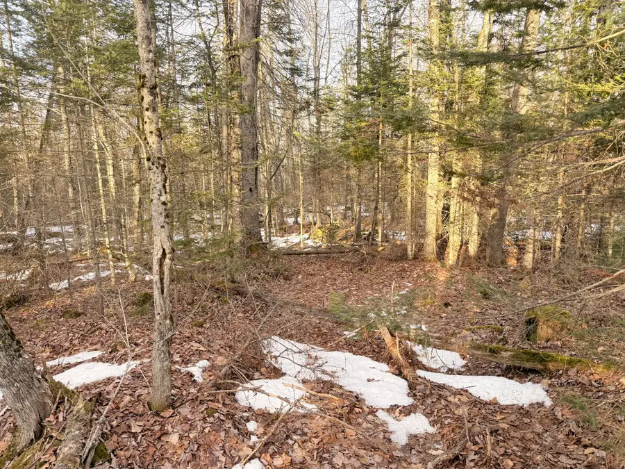 370 Maple Road, Atkinson, ME 04426 - #2