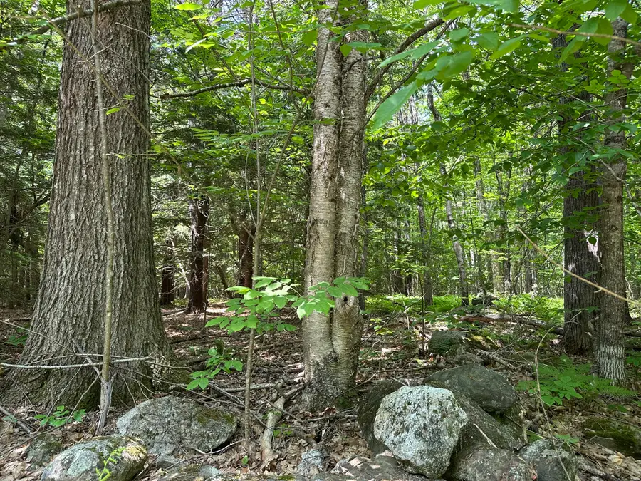 0 Dingley Road, Bowdoinham, ME 04008 - #2