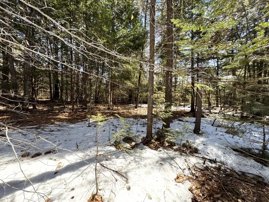Lot 5 Lords Hill Road, Brownfield, ME 04010 - #3