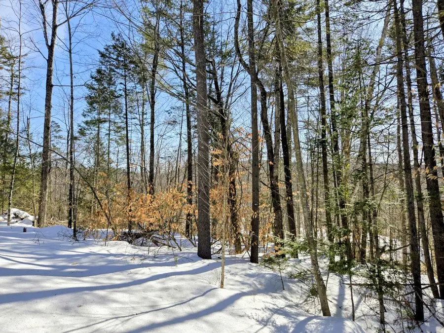 Lot 10C Staples Pond Road, Temple, ME 04984 - #3