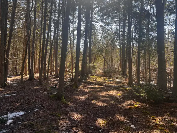 1148 Cape Rosier Road, Brooksville, ME 04617