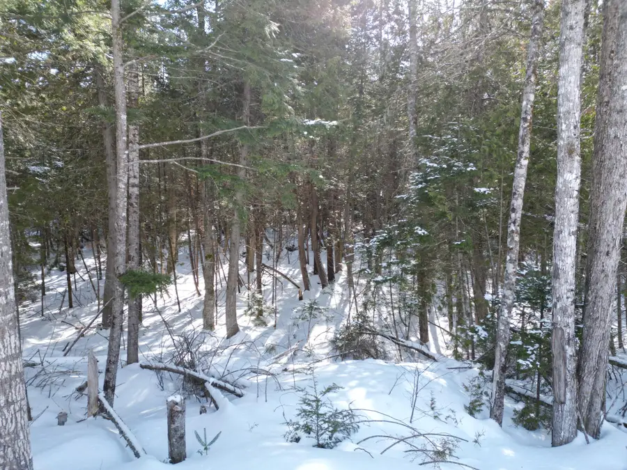 20 Twin Springs Lane, Lincoln, ME 04457 - #3