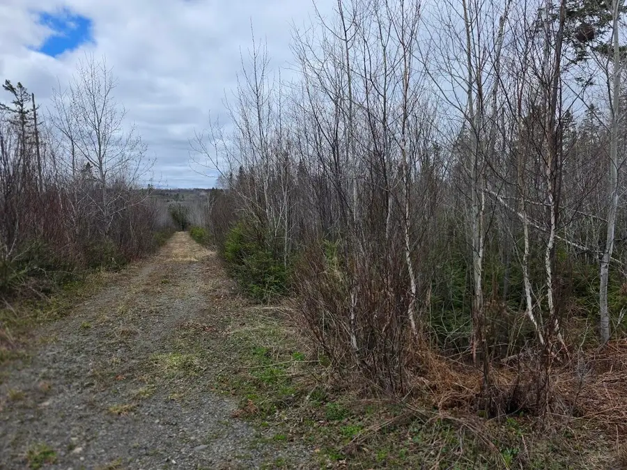 M31-4A off Gendreau Road, Madawaska, ME 04756 - #3