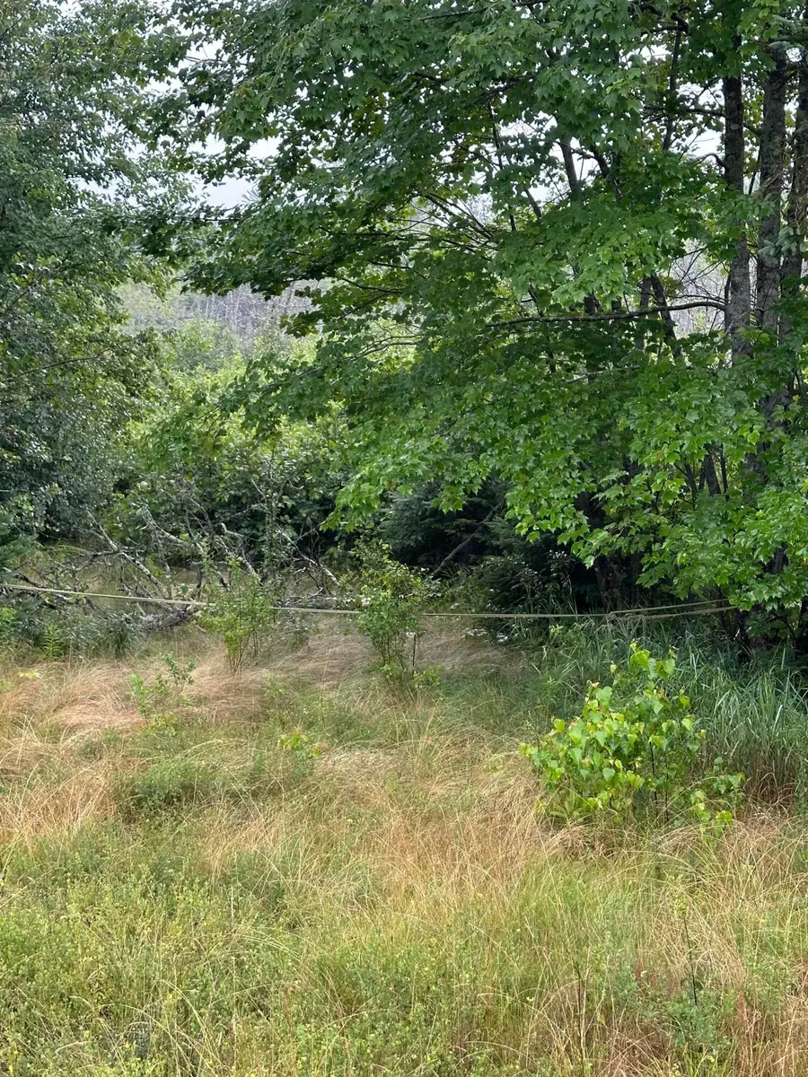 Lot 60 Tenan Lane, Cherryfield, ME 04622 - #2