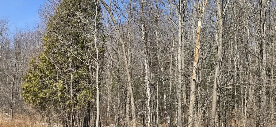 R12-010 Main Street, Sumner, ME 04292 - #3