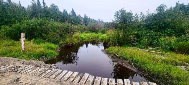 005-005 Grendell Road, Chapman, ME 04757 - #2