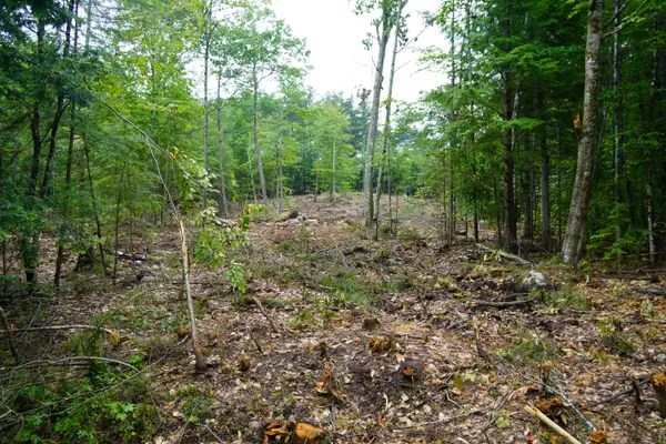 89 Chapman Road, Harrison, ME 04040