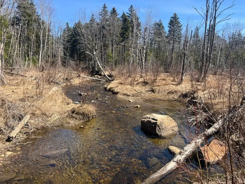 36 Chimney Rock Road, Temple, ME 04984 - #2