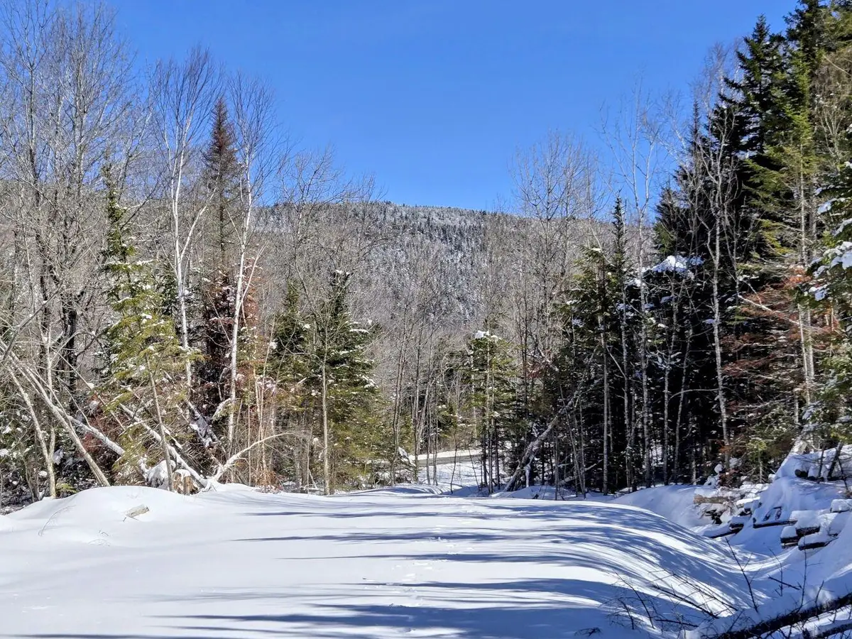Lot 1 Main Street, Sandy River Plt, ME 04970 - #1