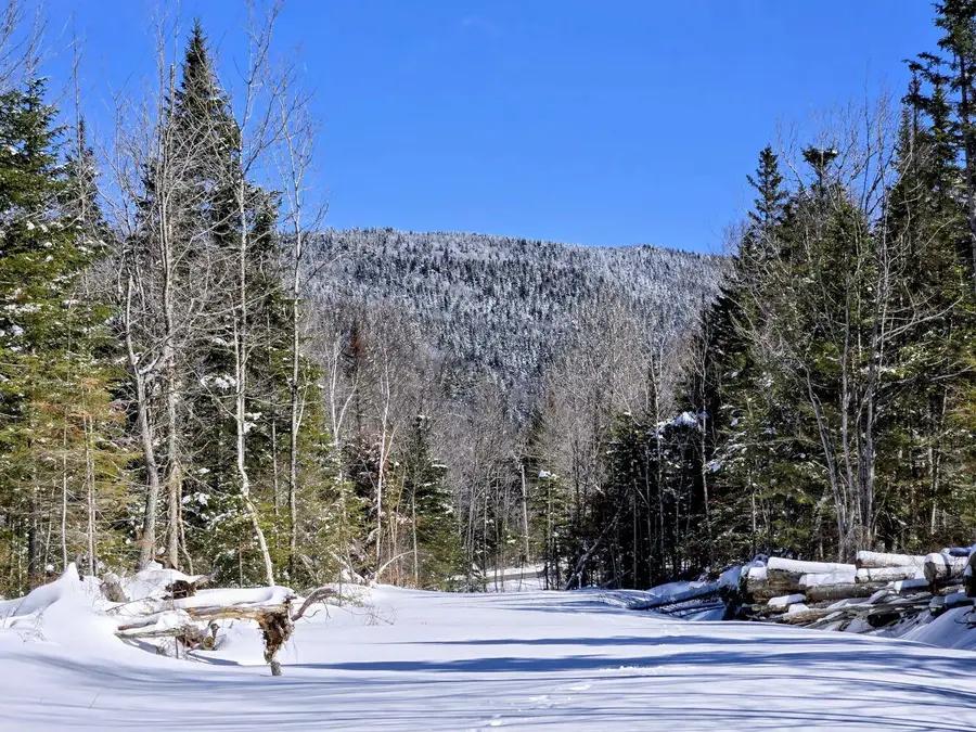 Lot 1 Main Street, Sandy River Plt, ME 04970 - #2