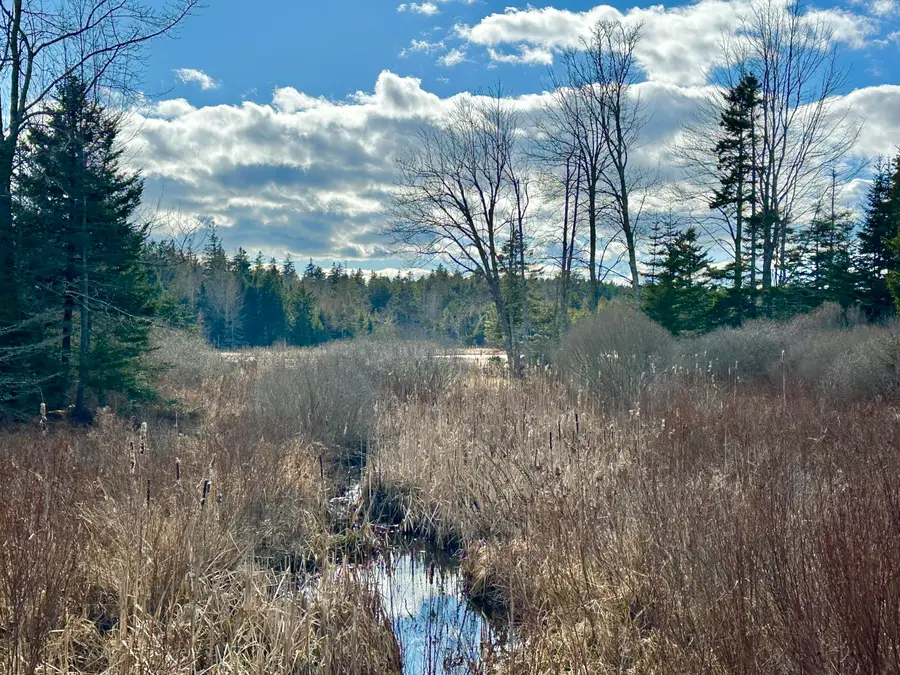 Lot #10 Ridge Road, Saint George, ME 04860 - #2