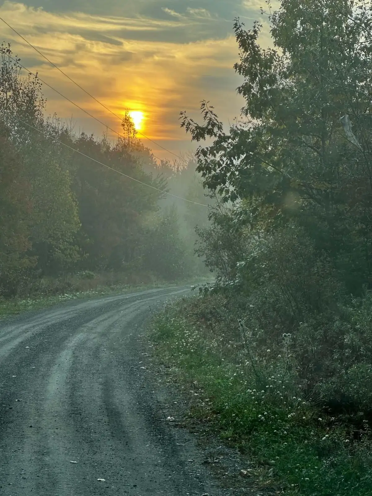 260 Nyes Corner Road, Saint Albans, ME 04971 - #1