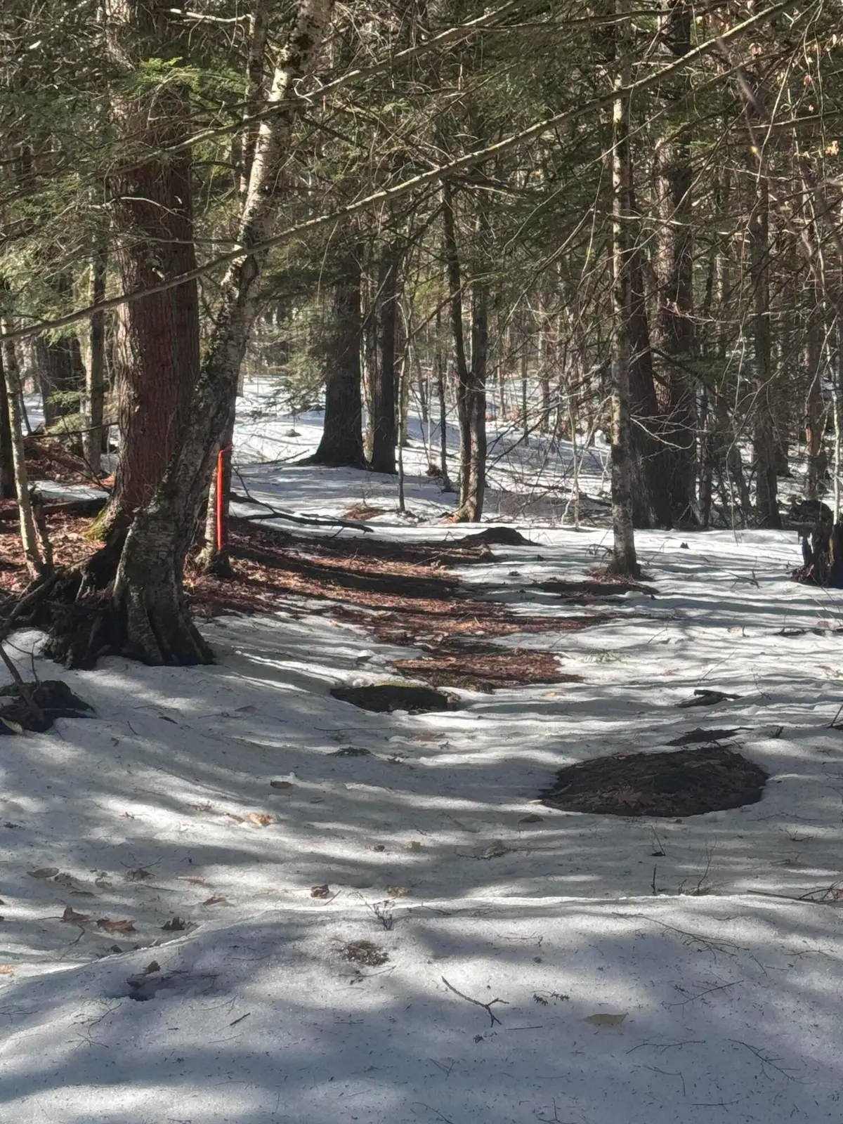 0 Lakeside Drive, Windham, ME 04062 - #1