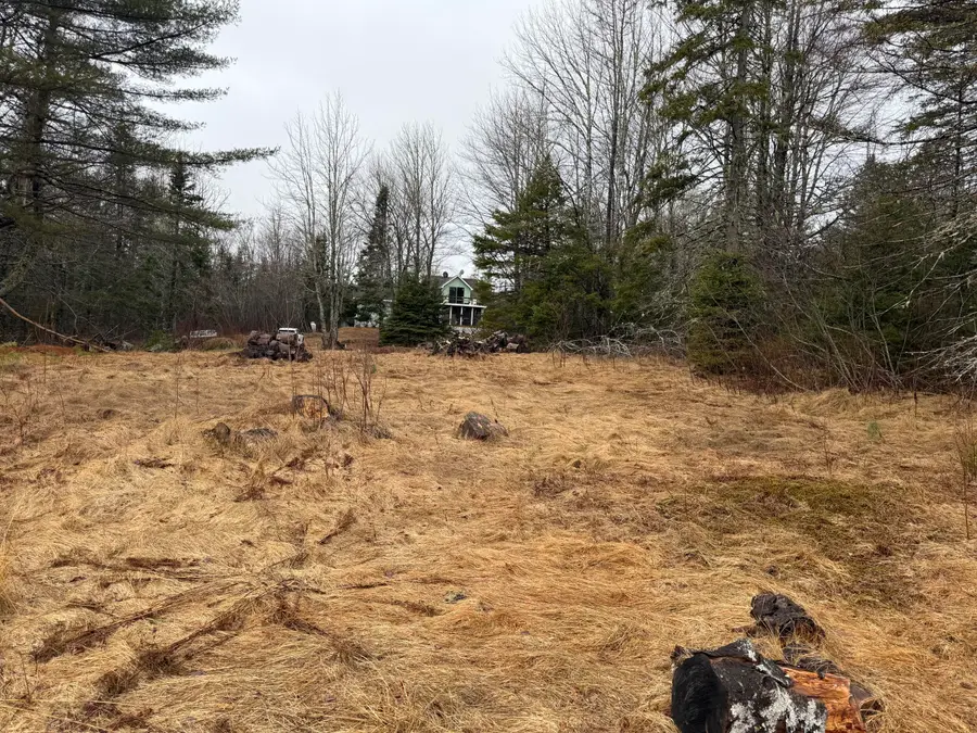 0 Guzzle Road, Gouldsboro, ME 04607 - #3