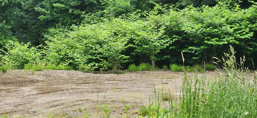 004 Titcomb Hill Road, Farmington, ME 04938 - #2