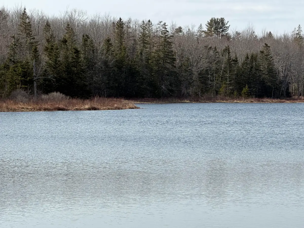 25C Guzzle Road, Gouldsboro, ME 04607 - #1