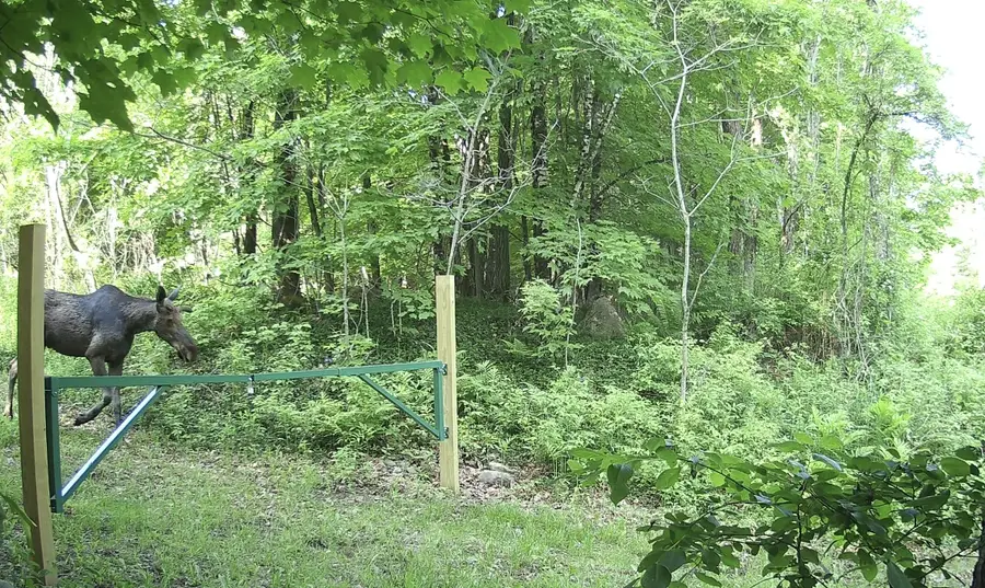 012-002 West Mill Road, Anson, ME 04911 - #2