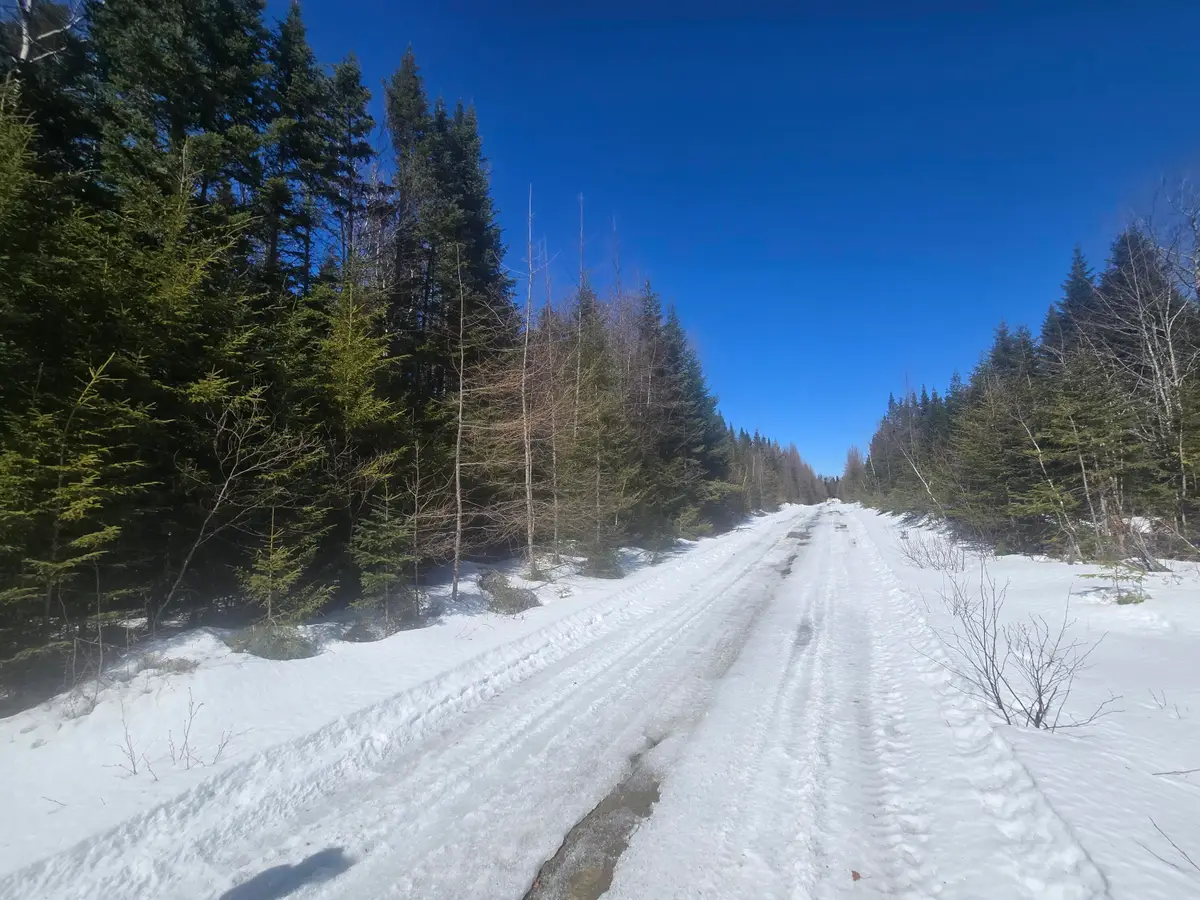 AR105P4 Jemtland Road, Connor, ME 04762 - #1