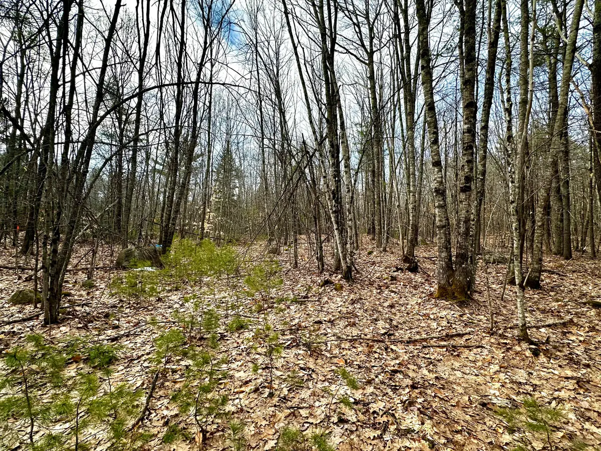 332 Folly Road, Sebago, ME 04029 - #1