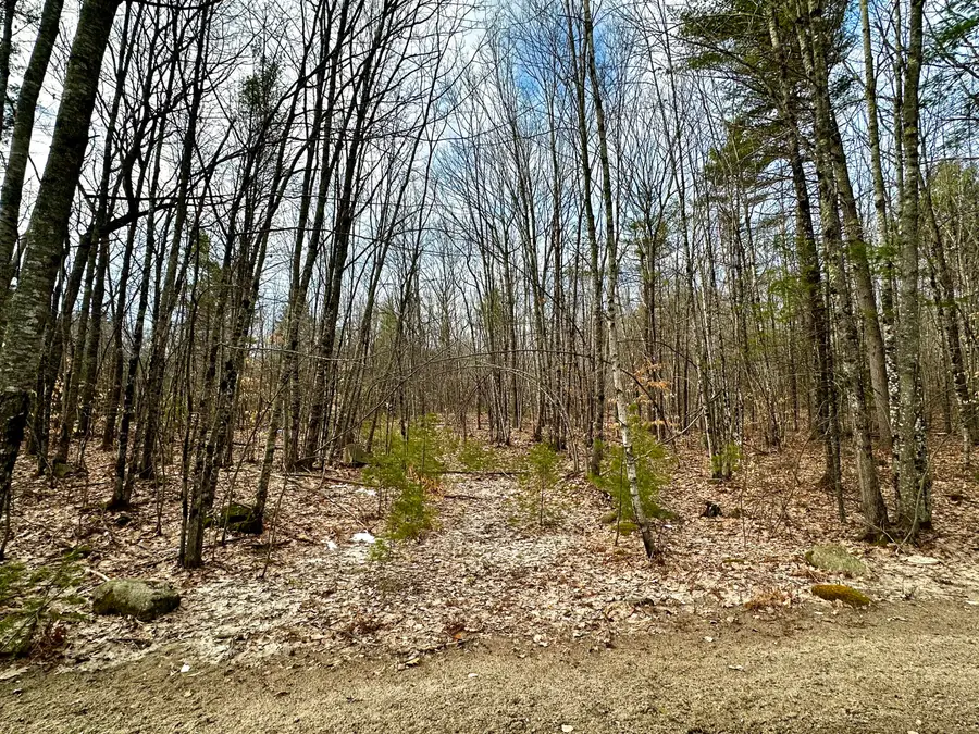 332 Folly Road, Sebago, ME 04029 - #3