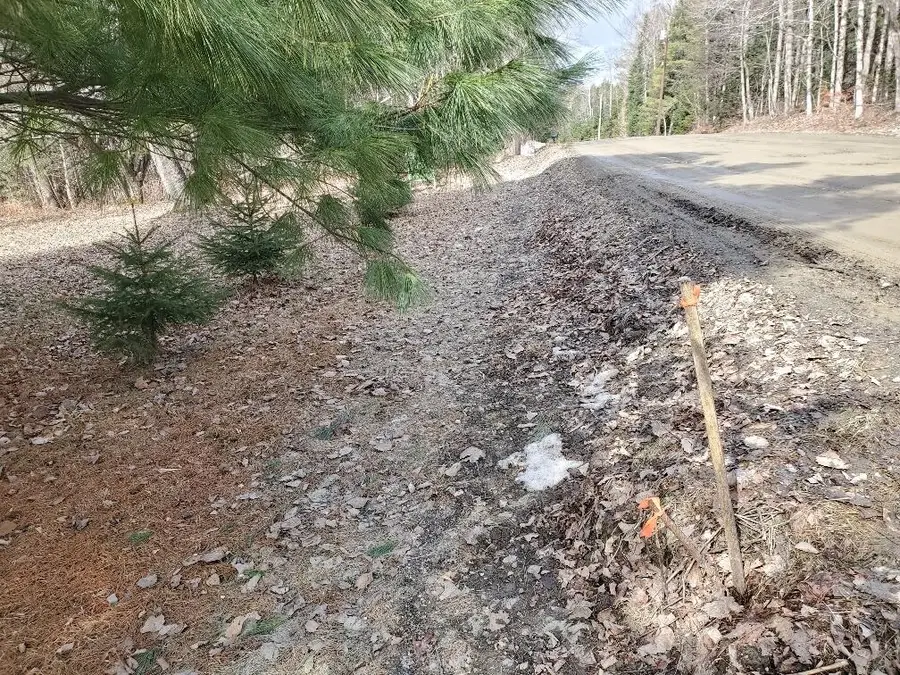 0 Burough Road, Dover Foxcroft, ME 04426 - #2