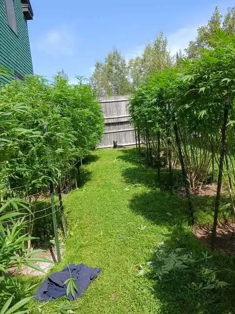 130 Farmers Hill Road, Andover, ME 04216 - #2