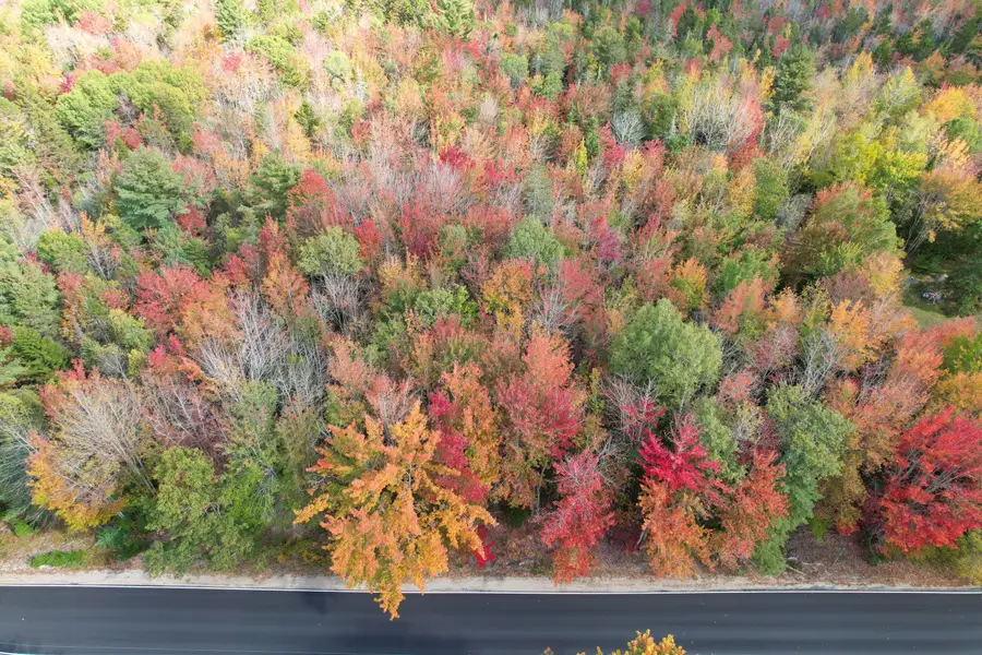 535 Bert Gray Road, Sullivan, ME 04664 - #3