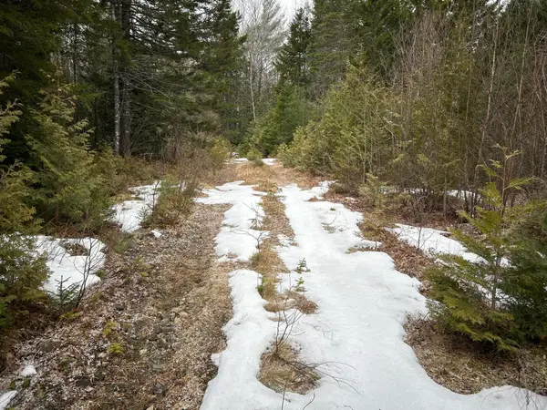 WA31P01L21 Kings Street, Dennysville, ME 04628