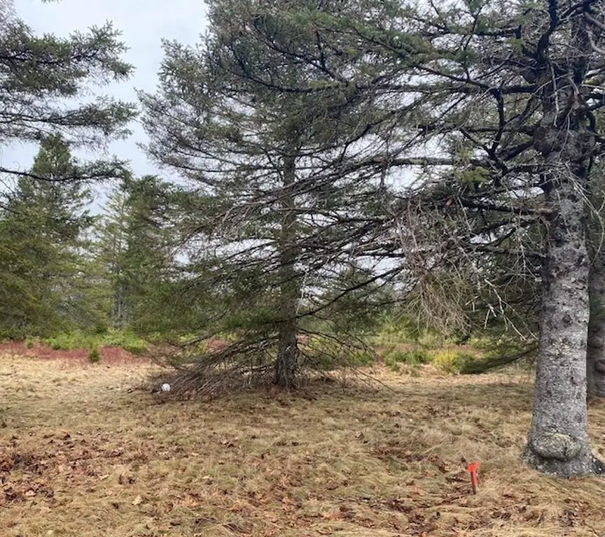 Lot 5 Copeland Hill Road, Holden, ME 04429 - #2