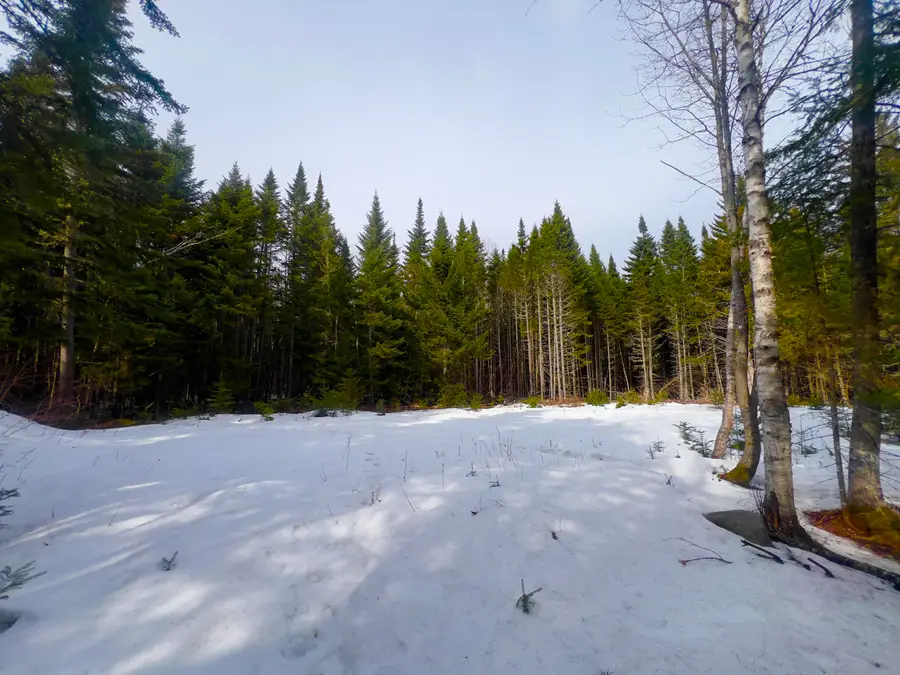 2/001-09A Kendall Farm Trail, Dallas Plt, ME 04970 - #2