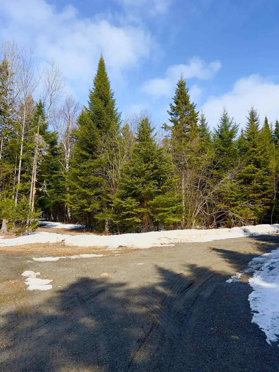 2/001-09A Kendall Farm Trail, Dallas Plt, ME 04970 - #3