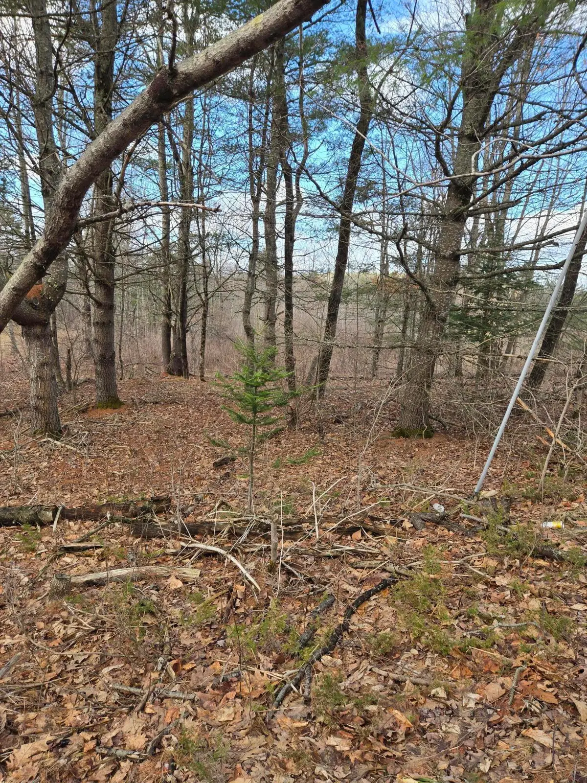 Lot 1 Maple Street, Farmingdale, ME 04344 - #1