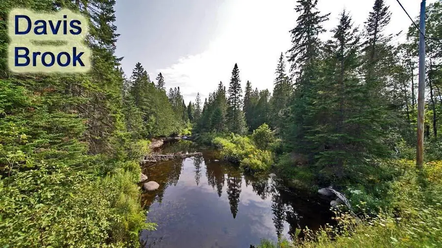 Lot 13 Wilcox Road, South Aroostook, ME 04730 - #2