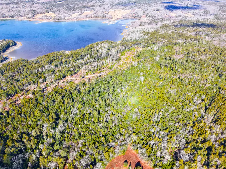 961 Newbury Neck Road, Surry, ME 04684 - #3