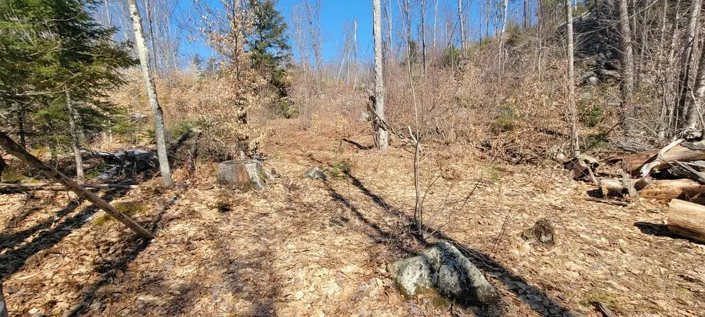 Lot 21 River Road, Avon, ME 04966 - #1