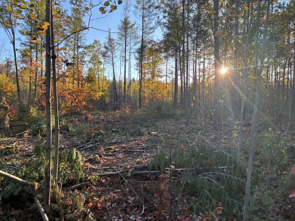 Lot 16 (1) Whittier Road, Farmington, ME 04938 - #1