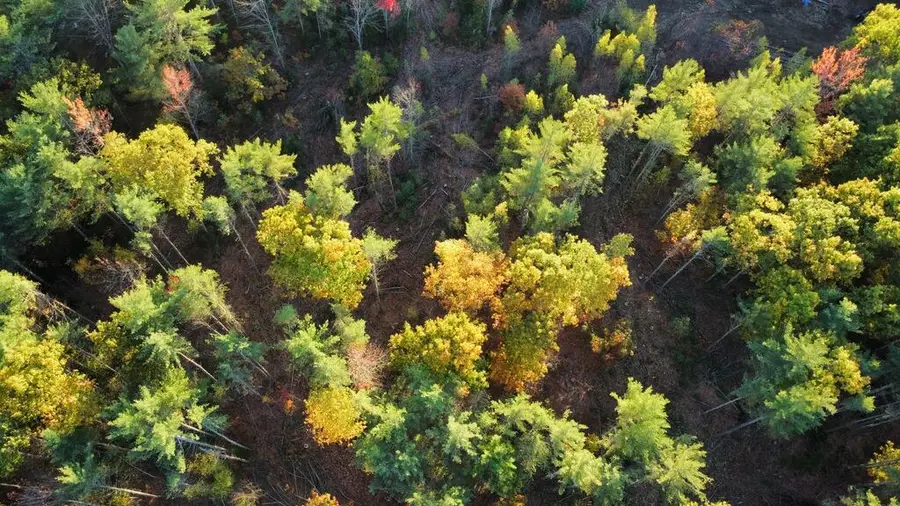 Lot 16 (1) Whittier Road, Farmington, ME 04938 - #2