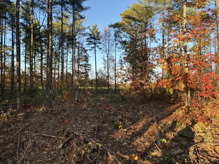 Lot 16 (1) Whittier Road, Farmington, ME 04938 - #3