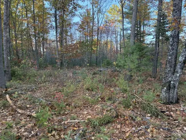 Lot 16 (2) Whittier Road, Farmington, ME 04938
