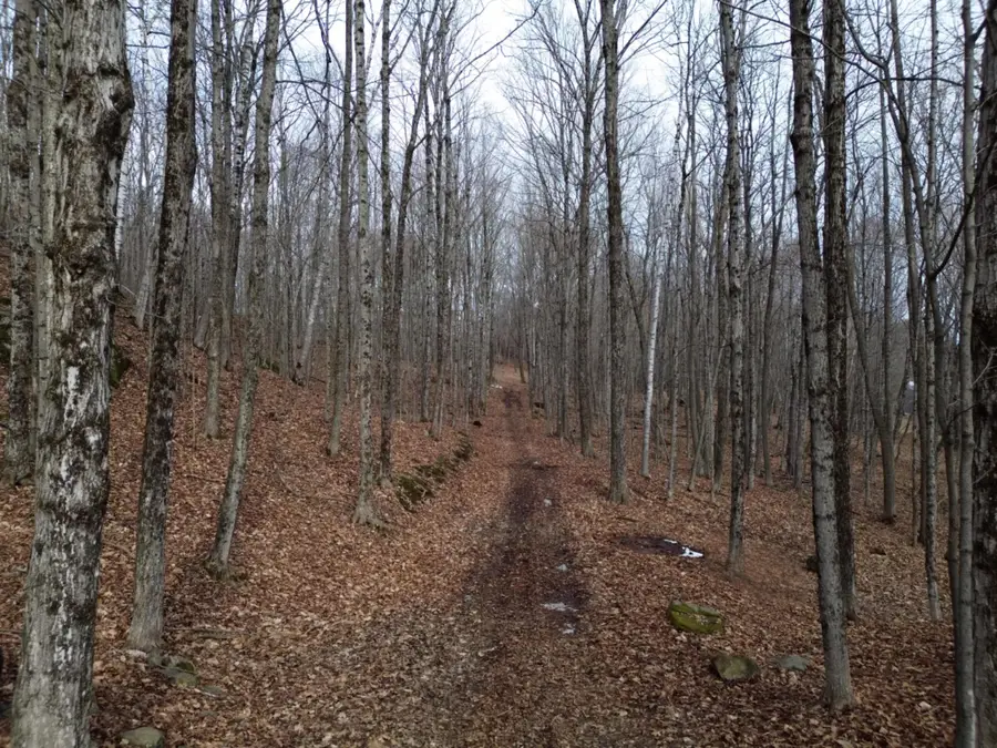 62 Grove Street, Dexter, ME 04930 - #2