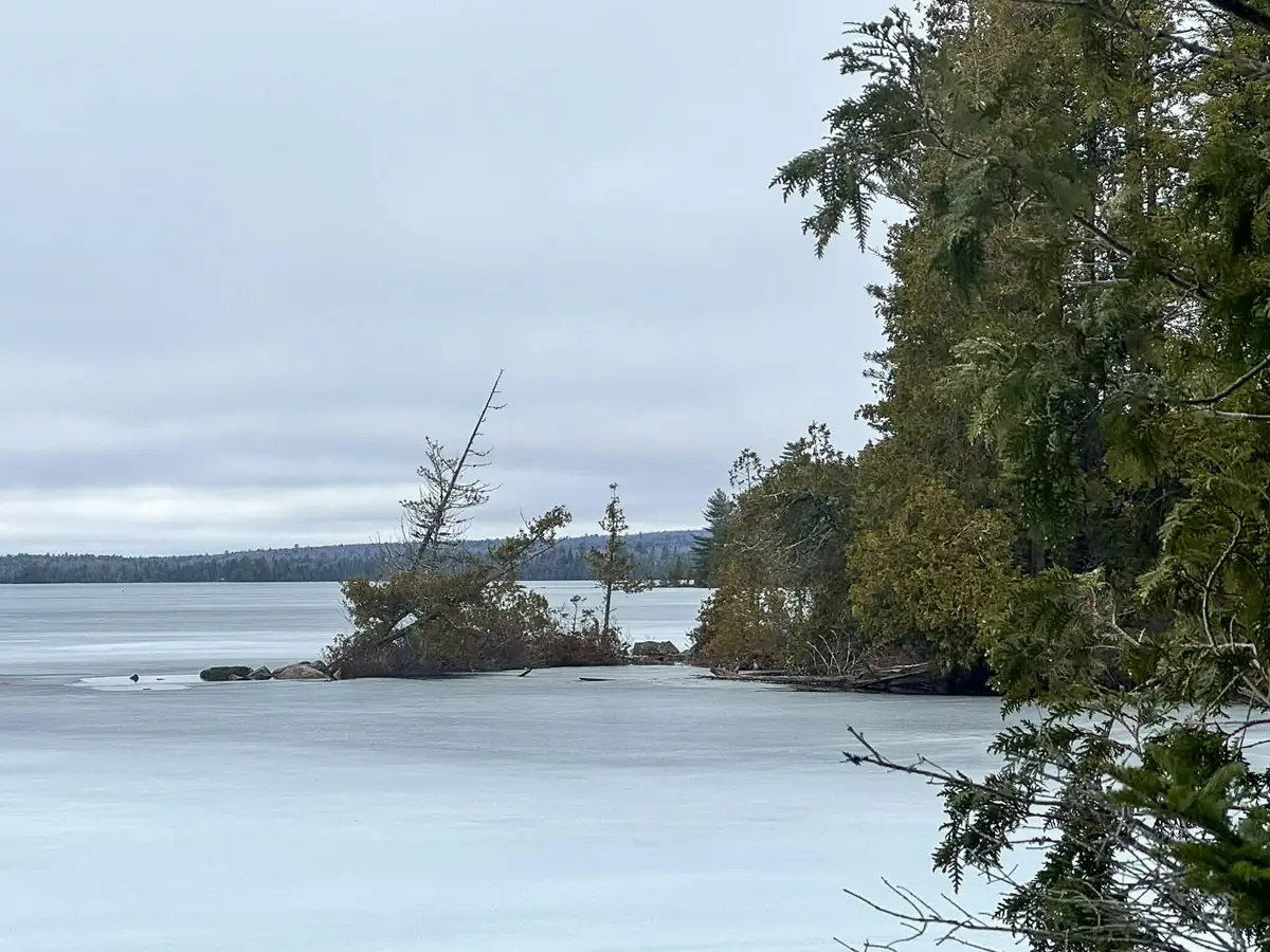 X Smith Cove Road, Cathance Township, ME 04657 - #1