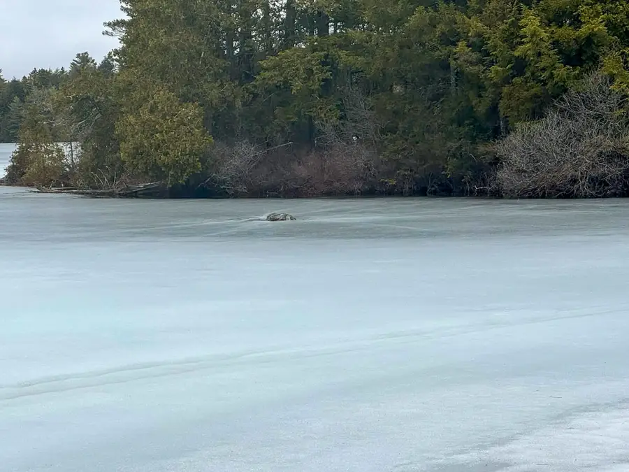 X Smith Cove Road, Cathance Township, ME 04657 - #3