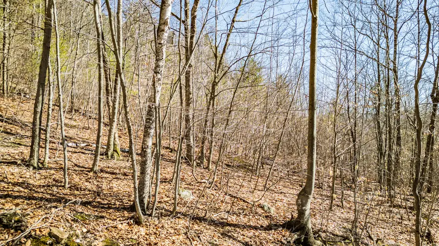 0 King Street/benny Babb Hill Road, Hiram, ME 04041 - #2