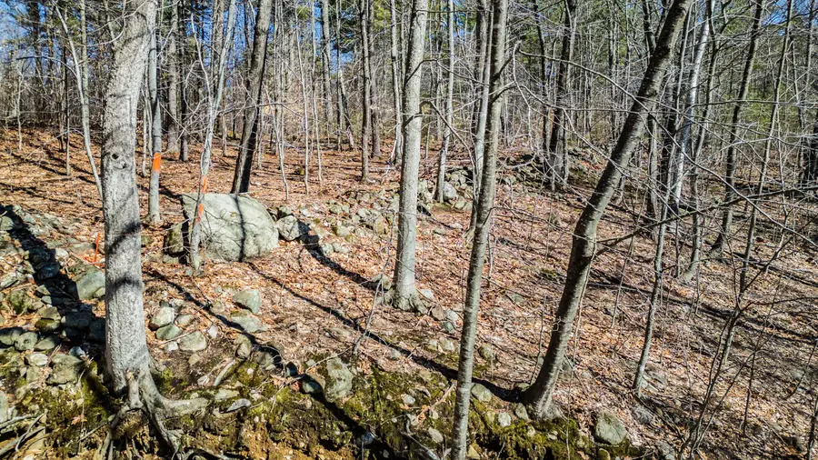 0 King Street/benny Babb Hill Road, Hiram, ME 04041 - #3