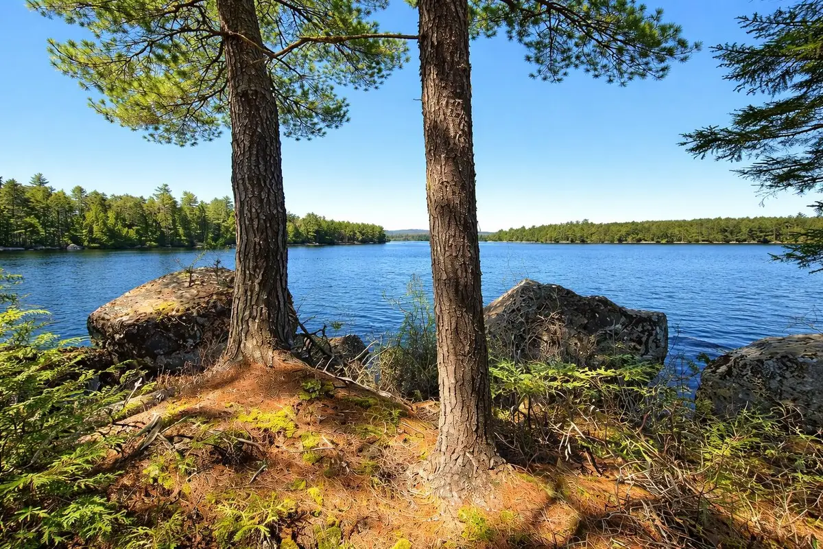 0 Cody Way, Lakeville, ME 04487 - #1