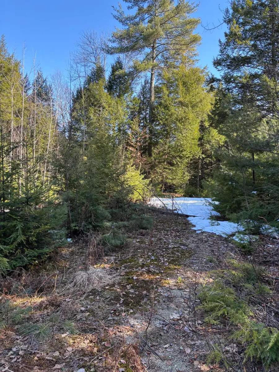 6 Bog Brook Loop, West Paris, ME 04289 - #2