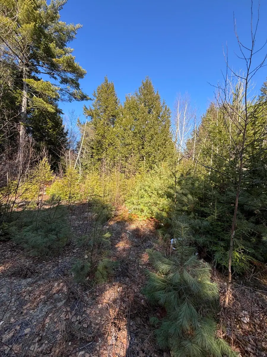 6 Bog Brook Loop, West Paris, ME 04289 - #3