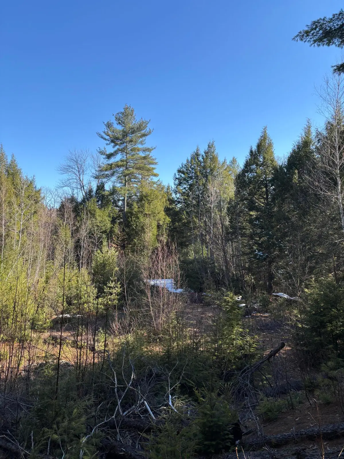 7 Bog Brook Loop, West Paris, ME 04289 - #1