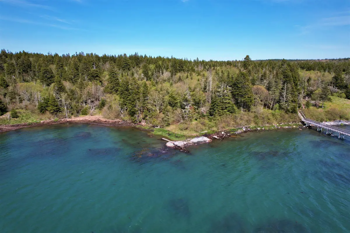 Lot 20-5-1 Collins Cove Road, Machiasport, ME 04655 - #1